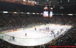 Copps Coliseum Rink